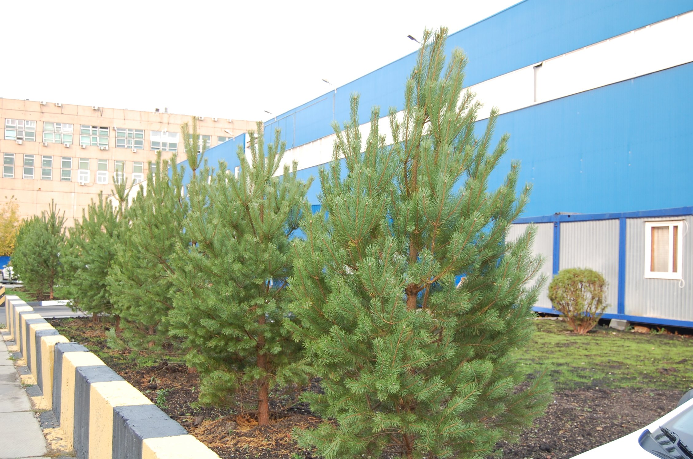 Аренда офиса 174 м² БЦ МИКК