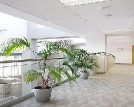 Аренда офиса 266 м² БЦ Аэростар
