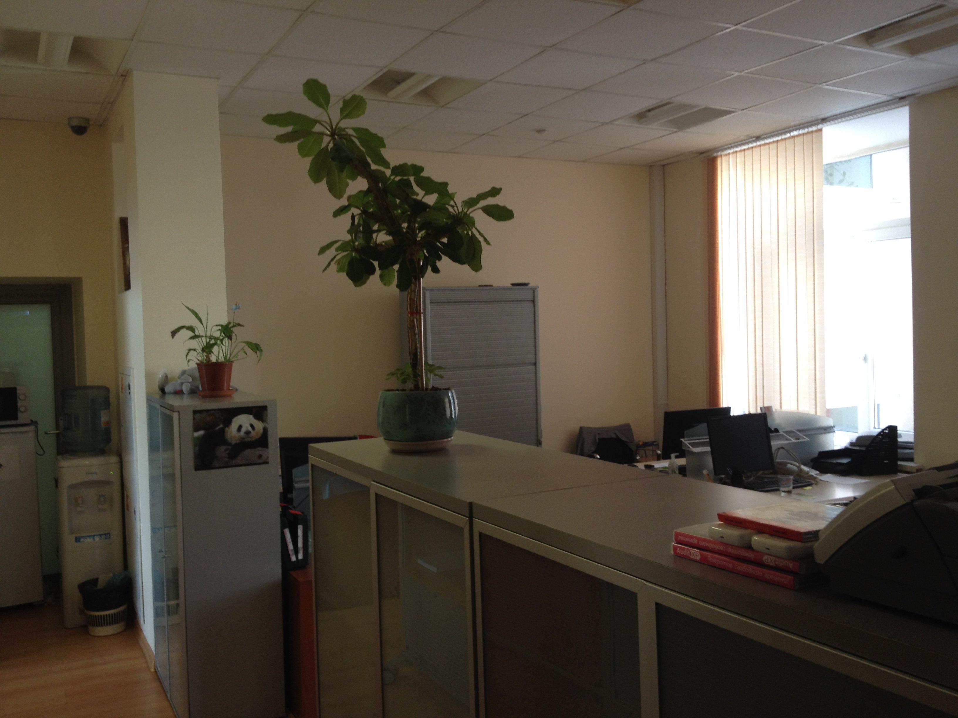 Аренда офиса 123 м² БЦ ЛЕСНАЯ 43