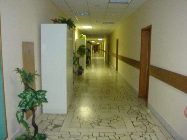 Аренда офиса 1190 м² БЦ на Дубининской