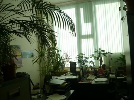 Аренда офиса 1300 м² БЦ НИИТФА