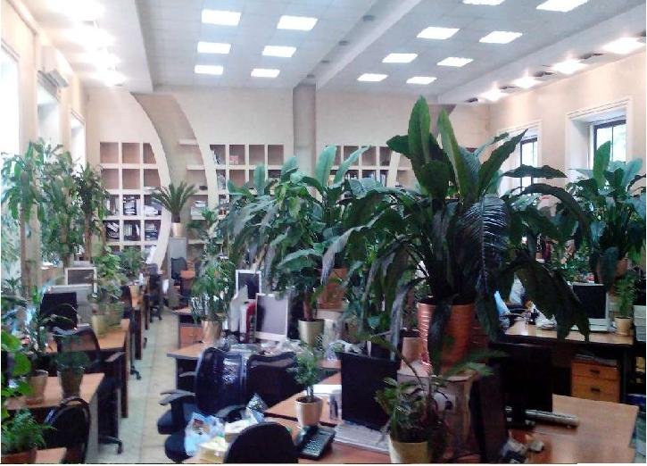 Аренда офиса 460 м² БЦ 