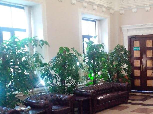 Аренда офиса 460 м² БЦ 