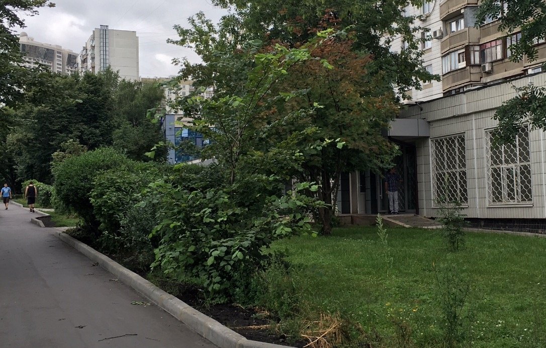 Аренда офиса 210 м² БЦ нежилое 