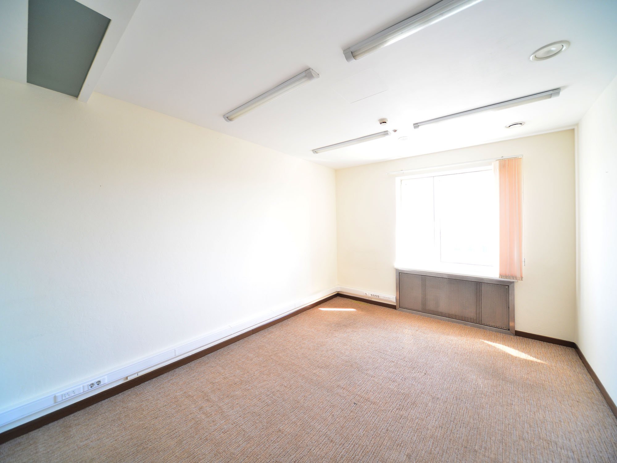 Аренда офиса 3311 м² БЦ Тропикано 2