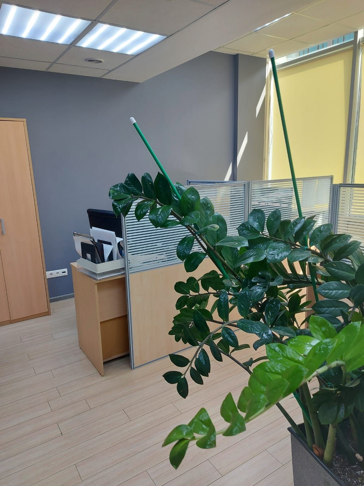 Аренда офиса 1500 м² БЦ Верейская Плаза II